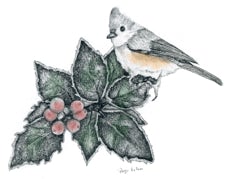 Titmouse and Holly - Graphite Pencil with Digital Color