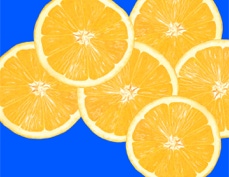 Oranges - Digital illustration